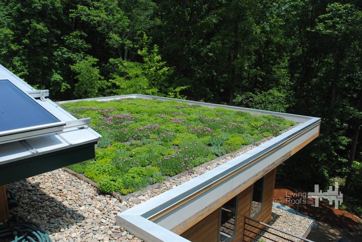 green roofing for homes